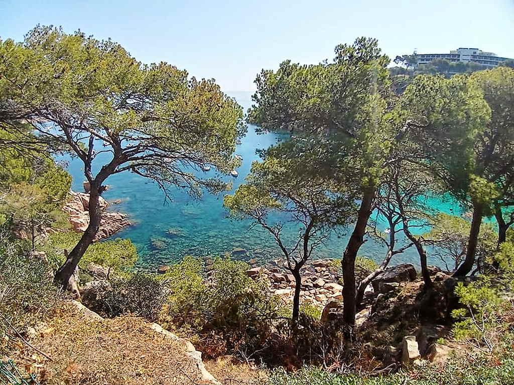 Camino de Ronda