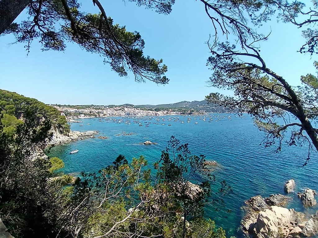 Camino de Ronda