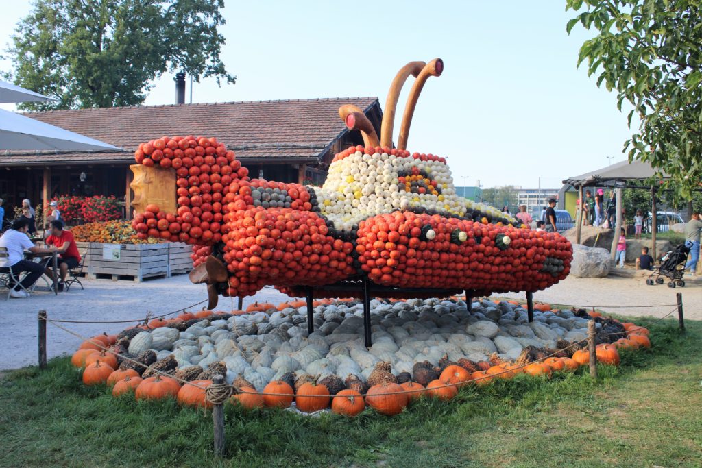 Calabazas en Suiza