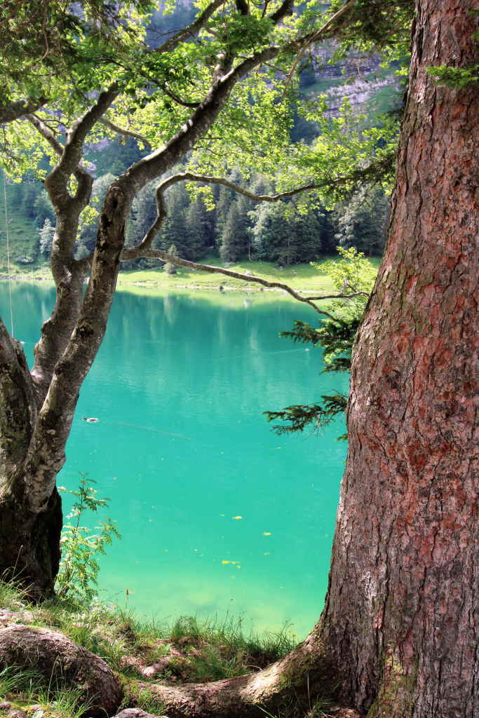 Lago Seealpsee